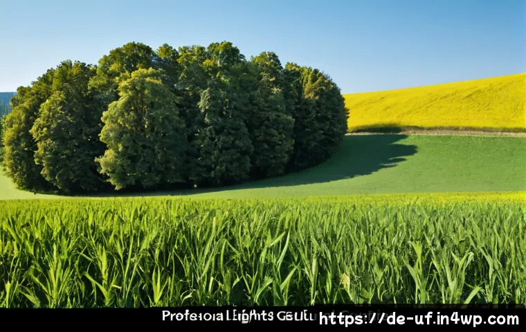 Kundenerlebnis trotz knapper Ressourcen verbessern: Kreative Lösungen mit klaren Grenzen entwickeln 4 제약 기반 창의성을 통한 고객 경험 개선 관련 이미지 2